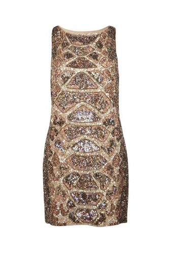 <p>Make your sequin addiction look like high-fashion treasure with this intoxicating dress from All Saints. Make sure your hair is slick and chic to really make the dress stand out</p>

<p>£295, <a href="http://www.allsaints.com/women/dresses/allsaints-embellished-python-dress/?colour=2854&category=22">
All Saints</a></p>