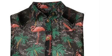 <p>How pretty is this shirt? We love the flamingo print and the sheer material. We'll be channeling our inner Alexa Chung and wear this with cute shorts and brogues</p>
<p>£32, <a href="http://www.topshop.com/webapp/wcs/stores/servlet/ProductDisplay?beginIndex=0&viewAllFlag=&catalogId=33057&storeId=12556&productId=4551025&langId=-1&sort_field=Relevance&categoryId=277012&parent_categoryId=208491&pageSize=20" target="_blank">Topshop</a></p>