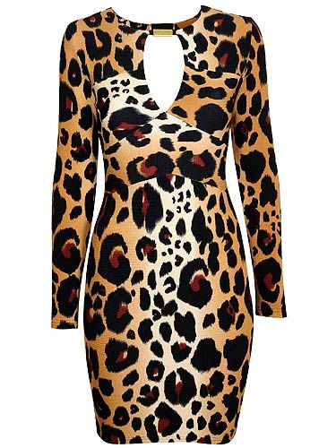 <p>Leopard print dress, £40, <a title="http://www.dorothyperkins.com/webapp/wcs/stores/servlet/TopCategoriesDisplay?storeId=12552&catalogId=33053" href="http://www.dorothyperkins.com/webapp/wcs/stores/servlet/TopCategoriesDisplay?storeId=12552&catalogId=33053" target="_blank">Dorothy Perkins</a></p>