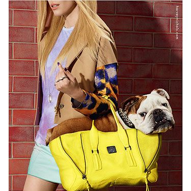 <p>Now this is what we call a doggy bag (and a delish designer one at that)!</p>
<p>Say hello to Spud the British Bulldog - one of the canine stars of the new Harvey Nichols campaign for SS13, shot by fashion photographer Miles Aldridge and styled by Harry Lambert.</p>
<p>We don't know which we adore more: The too-cute pooch? Or the swish 3.1 Philip Lim Bag? We'll take both, please...</p>
<p>Share Your <a title="Harvey Nichols on Twitter" href="twitter.com/harveynichols" target="_blank">#BestInShow</a> purchases on Twitter or head over to <a title="Harvey Nichols" href="http://www.harveynichols.com" target="_blank">harveynichols.com</a> for more info on the campaign.</p>