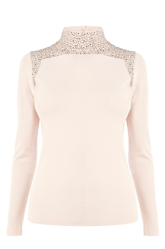 <p>Polo necks are having a moment (and a well-timed one, too - it's getting COLD!). The embellished neckline on this pretty pale number makes it less librarian, more sexy secretary.</p>
<p>Embellished turtle neck, £80, <a href="http://www.coast-stores.com/romarie-knit-top/new-in/coast/fcp-product/2485777165" target="_blank">coast-stores.com</a></p>
<p><a href="http://www.cosmopolitan.co.uk/fashion/shopping/womens-clothing-under-ten-pounds" target="_blank">Shop daily fashion finds for £10 or less</a></p>
<p><a href="http://www.cosmopolitan.co.uk/fashion/shopping/investment-winter-coats" target="_blank">10 winter coats worth investing in</a></p>
<p><a href="http://www.cosmopolitan.co.uk/fashion/winter-fashion-trends-2013/" target="_blank">See the latest winter fashion trends 2013</a></p>