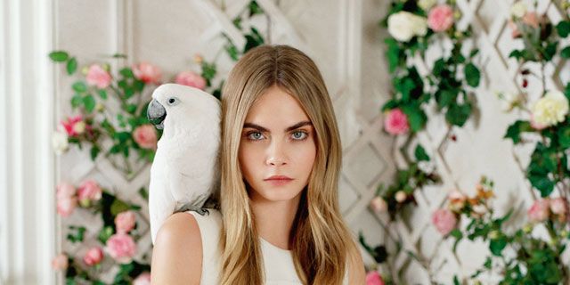 <p><a href="http://www.cosmopolitan.co.uk/fashion/news/new-mulberry-handbags-lfw" target="_blank">SEE *ALL* THE AMAZING NEW MULBERRY BAGS</a></p>
<p><a href="http://www.cosmopolitan.co.uk/fashion/news/cara-delevingne-mulberry-campaign-ss14?click=main_sr" target="_blank">BEHIND THE SCENES ON CARA'S NEW MULBERRY SHOOT</a></p>
<p><a href="http://www.cosmopolitan.co.uk/fashion/news/cara-delevingne-mulberry-lfw" target="_blank">CARA OPENS FOR MULBERRY AT LONDON FASHION WEEK: RUNWAY PICS</a></p>