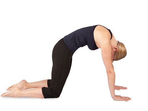 <p><strong>This move mobilises the spine and opens the lower back to increase blood flow and thereby reduce bloating.</strong></p>
<p>Kneel with your knees and hands on your mat, aligning hands under shoulders and knees under hips. Ensure the spine is in a neutral position and the abdomen is lifted.</p>
<p>Round your lower back, bringing your tailbone through your legs and nodding your chin towards your chest into a cat-like position.</p>
<p>Return to neutral position leading with the tailbone.</p>
<p>Draw your shoulder blades down, lift your head and your 'sitz' or sitting bones into a cow-like position.</p>
<p>Alternate between cat/cow 5 times, maintaining your own flow and speed.<a href="http://www.cosmopolitan.co.uk/diet-fitness/fitness/at-home-workout-that-girl-charli-cohen-christina-howells" target="_blank"><em><br /><br /></em>THE BUSY GIRL'S WORKOUT</a></p>
<p><a href="http://www.cosmopolitan.co.uk/diet-fitness/fitness/the-benefits-of-pilates" target="_blank">WHY WE LOVE PILATES</a></p>
<p><a href="http://www.cosmopolitan.co.uk/diet-fitness/fitness/the-benefits-of-spinning" target="_blank">GET YOUR SPIN ON </a></p>