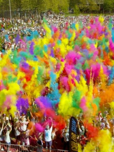 Colorfulness, Magenta, Pink, Purple, Violet, Lavender, Spring, Parade, Festival, Annual plant, 
