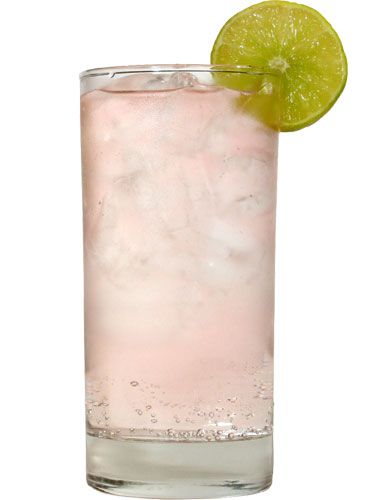 Liquid, Fluid, Glass, Drink, Citrus, Lemon, Classic cocktail, Tableware, Drinkware, Highball glass, 