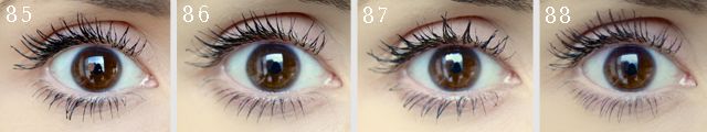 Eyelash, Eyebrow, Eye, Cosmetics, Organ, Skin, Iris, Eyelash extensions, Beauty, Close-up, 