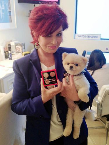 sharon osbourne dog teddy bear