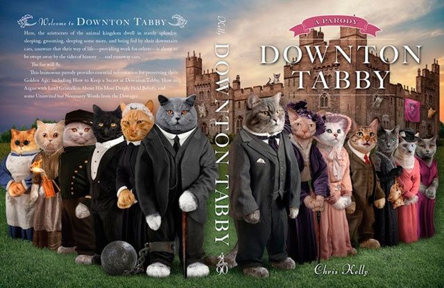 Image result for downton tabby