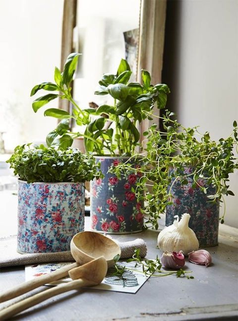 Flowerpot, Interior design, Kitchen utensil, Houseplant, Vase, Floral design, Still life photography, Annual plant, Pottery, Flower Arranging, 