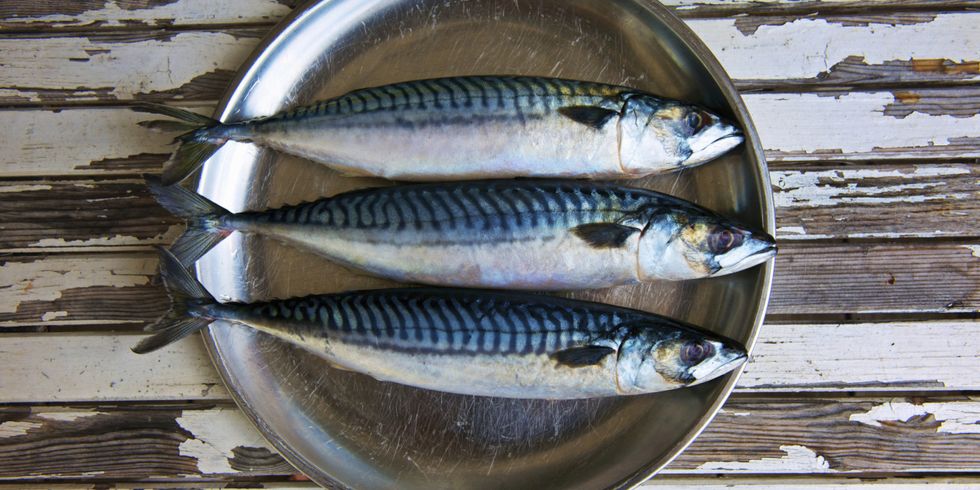 Three mackerel on a metal plate on timber table