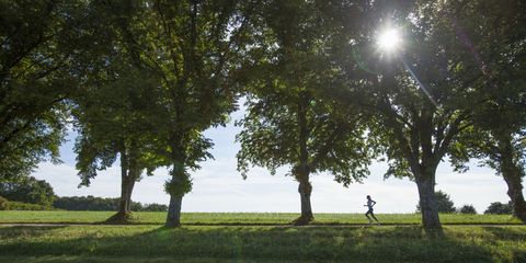 Woman running through line of trees in countryside