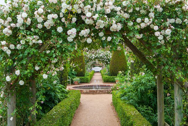 10 Best Rose Gardens To Visit In The UK