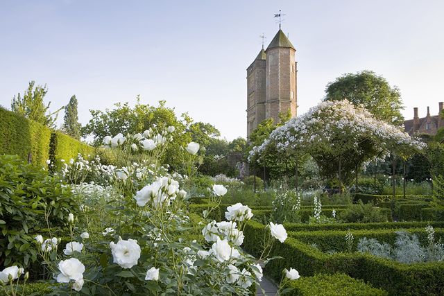 10 Best Rose Gardens To Visit In The UK