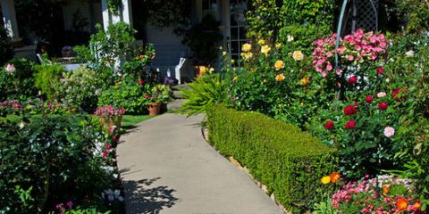 home garden walkway