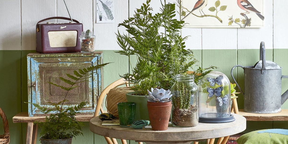 8 ways to decorate your home with nature