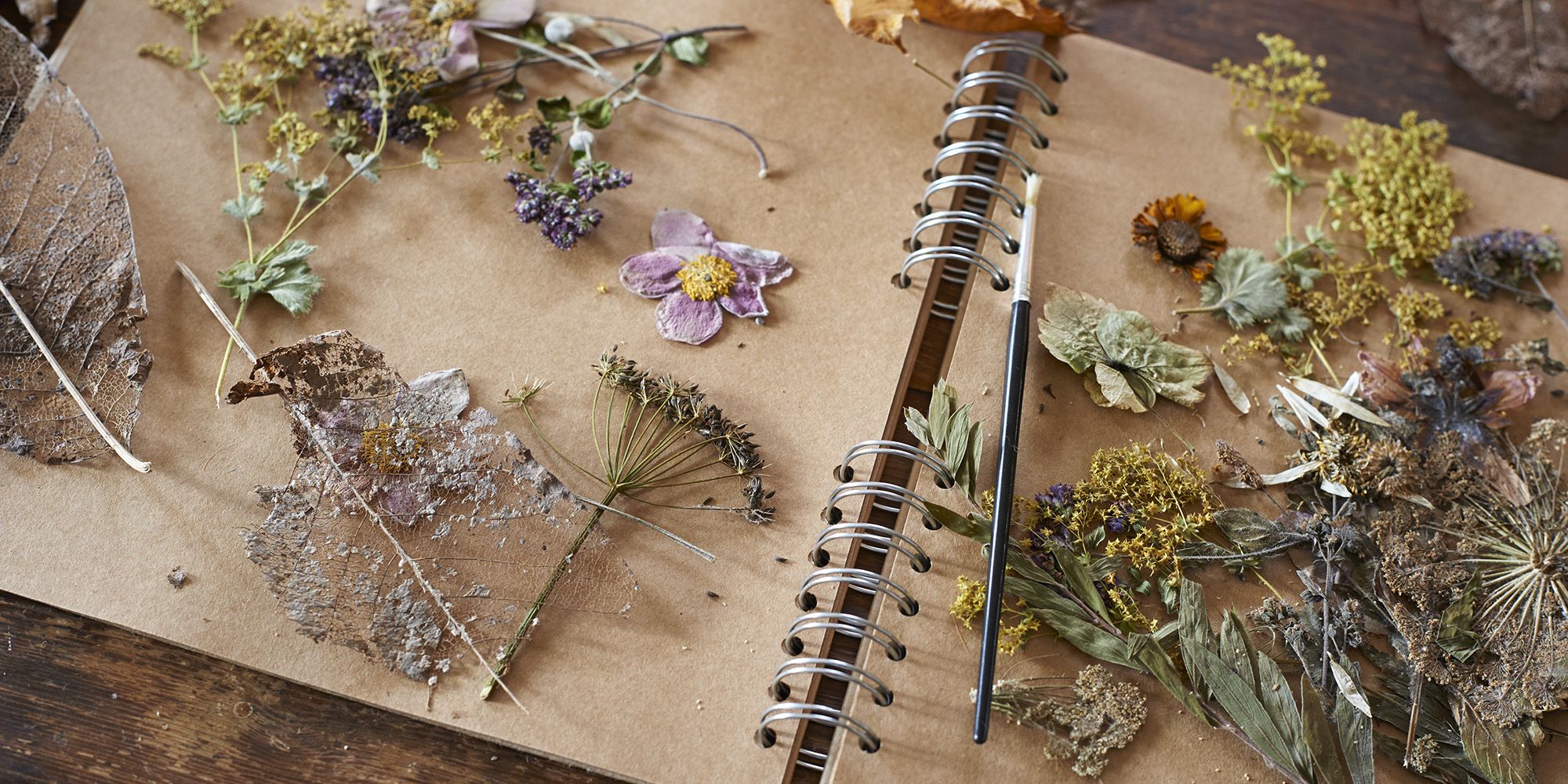 How To Press Flowers - Pressed Flower Craft Ideas