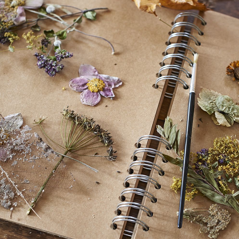 Flower press: the best flower press to buy and how to press flowers -  Gardens Illustrated