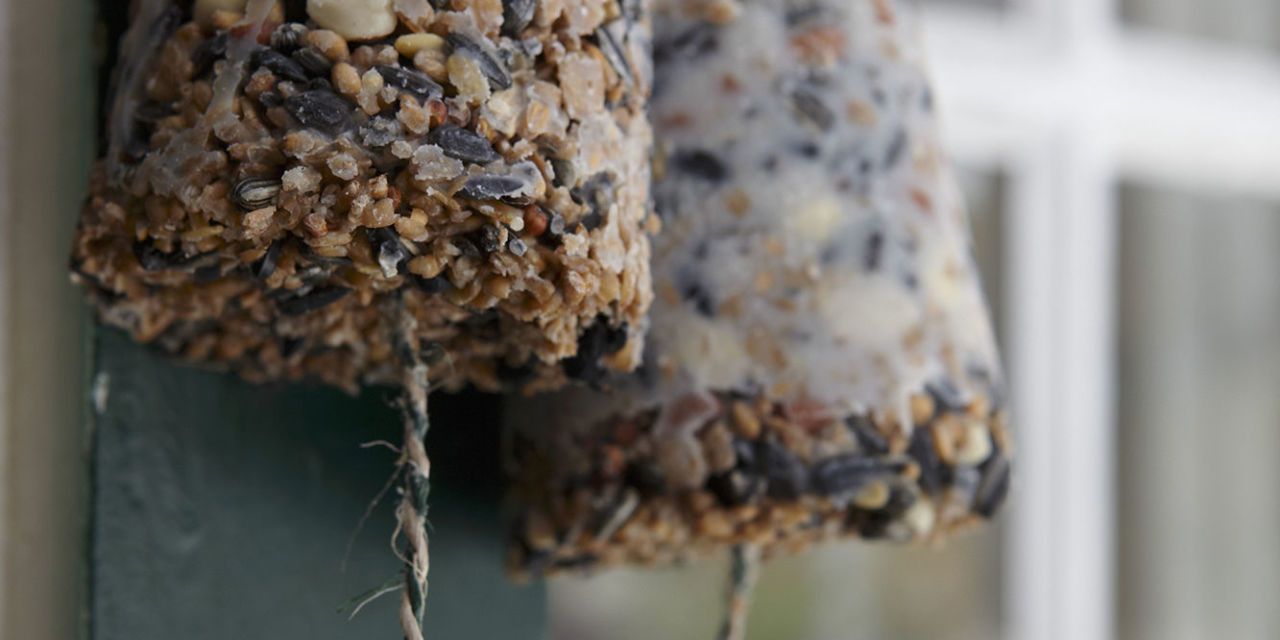 making lard bird feeders