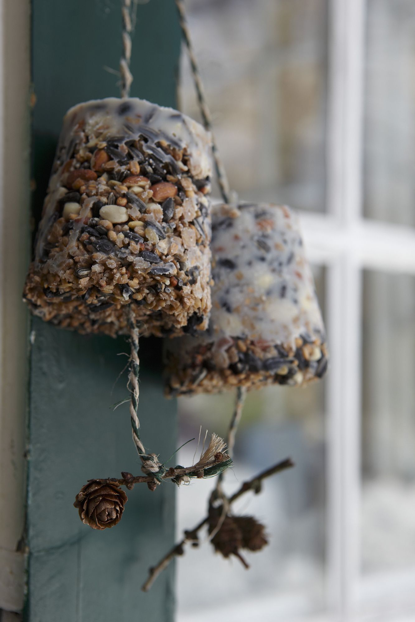 lard bird feeder