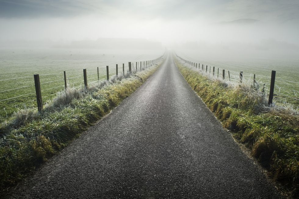fog road countryside