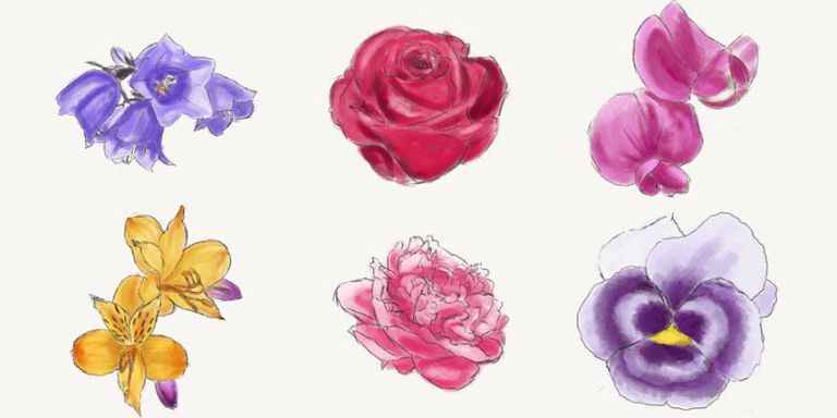 admire clipart flowers