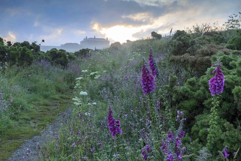 Pentire Head, Cornwall ©National Trust Images John Miller