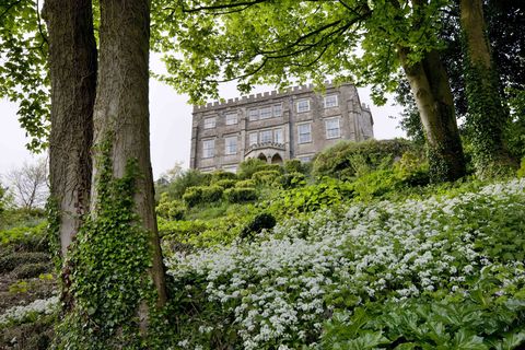 Newark Park and wild garlic ©National Trust Images Andrew Butler