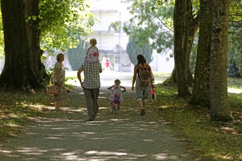 Saltram Devon ©National Trust Images Chris Lacey