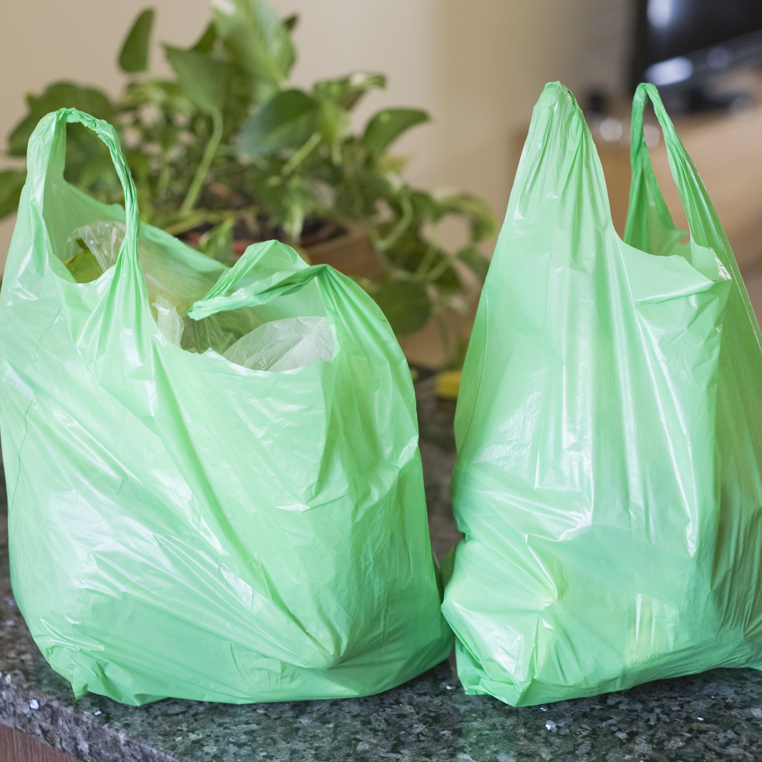 plastic bag price