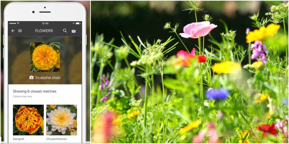This App Is Your New Gardening Best Friend