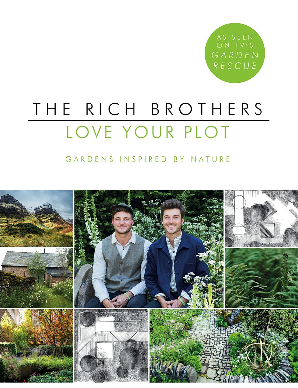 rich brothers book