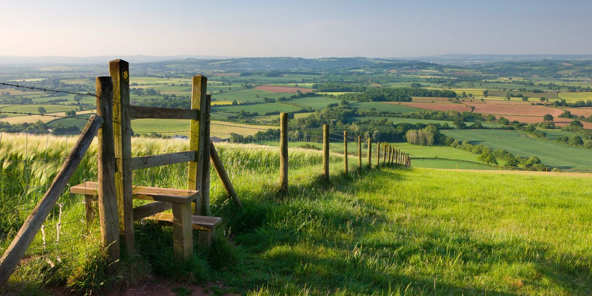 Aspiring entrepreneurs should head to the countryside to spark ...