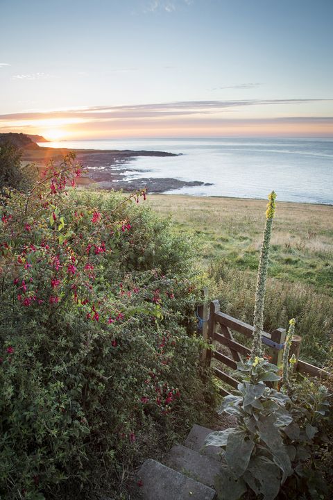 devon garden coast