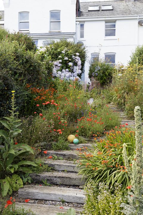 devon cottage garden