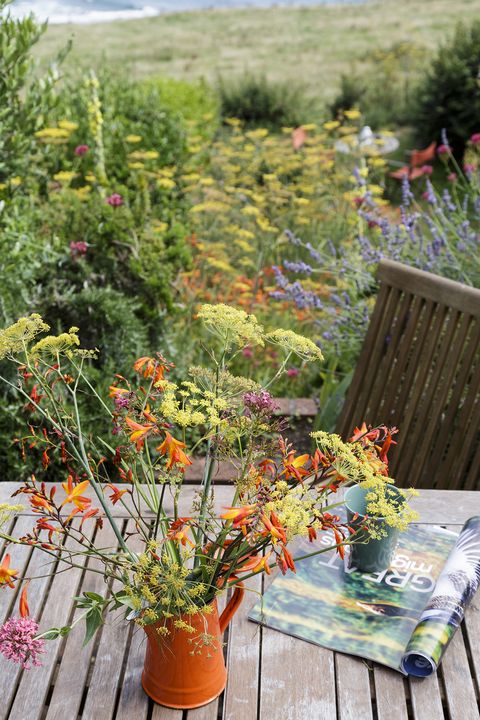 devon cottage garden