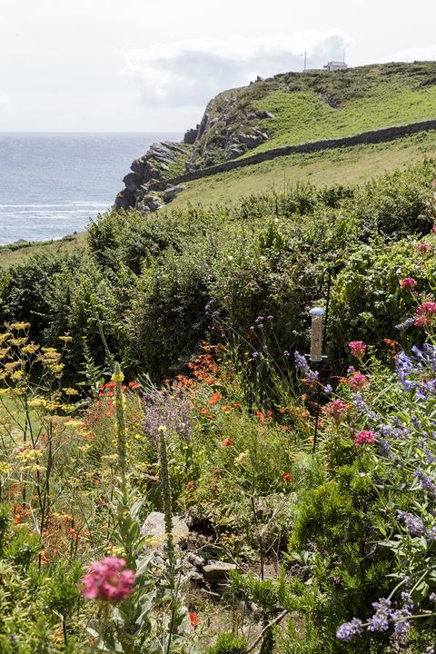 devon cottage garden