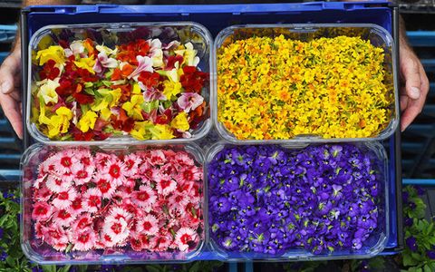 edible flowers sainsburys