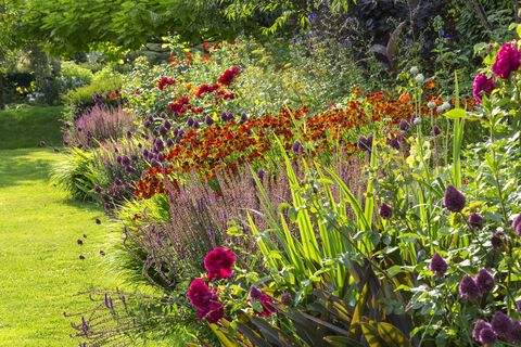 This garden has been transformed into a collection of colour filled ...