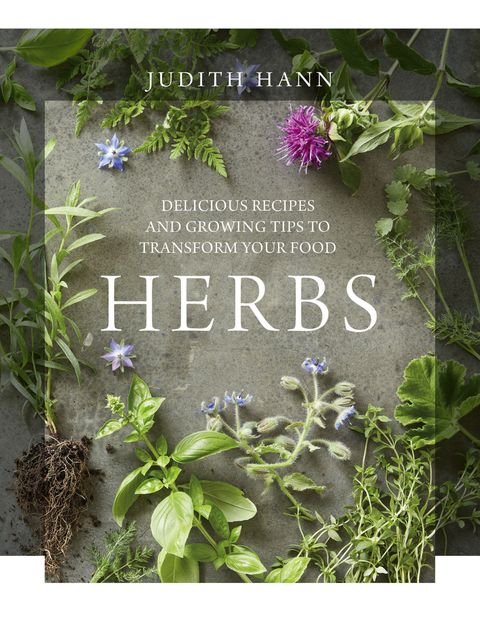 herbs book