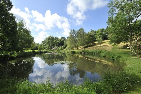 Hugh Fearnley Wittingstall S River Cottage Is Up For Sale Slape