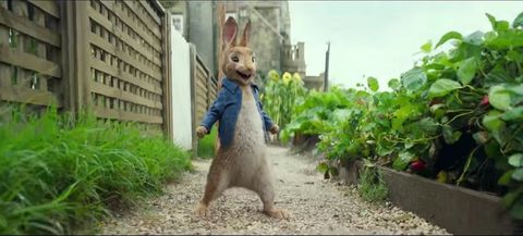 Peter Rabbit movie - Sony Pictures