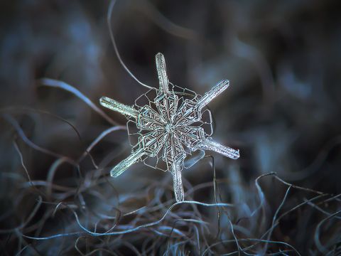 How To Catch A Snowflake – What Is A Snowflake