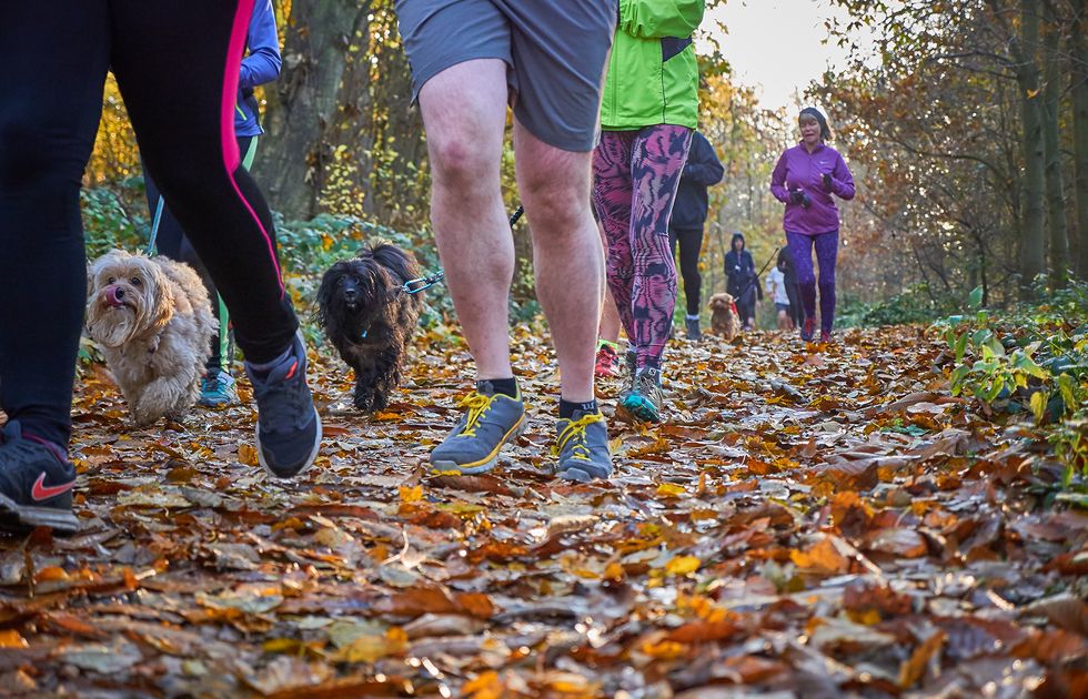 <p>If you don't already run, then make 2018 the year you start. And what better way than by signing up for one of the ever-increasing number of&nbsp;<a href="http://www.parkrun.org.uk/">parkrun</a>&nbsp;events? There are currently 682 parkruns each weekend across the country with around 130,000 people taking part each week – that's up 33,000 on last year – and there are more events to come.&nbsp;</p><p><strong data-redactor-tag="strong">You'll need:</strong><span class="redactor-invisible-space"></span><br></p><p><span class="redactor-invisible-space">Just a good pair of running shoes and&nbsp;suitable clothing.&nbsp;It's free to take part (just register online beforehand) and perfect for all abilities – beginners can simply clock up a couple of leisurely kilometres.<span class="redactor-invisible-space"></span></span></p><p><strong data-redactor-tag="strong">What's near you?</strong><span class="redactor-invisible-space"></span><br></p><p>Each parkrun is set in beautiful settings, so the scenery as well as the supportive crowds will spur you on. Visit the <a href="http://www.parkrun.org.uk/" target="_blank" data-tracking-id="recirc-text-link">parkrun website</a> for events near you.<span class="redactor-invisible-space" data-verified="redactor" data-redactor-tag="span" data-redactor-class="redactor-invisible-space"></span></p>