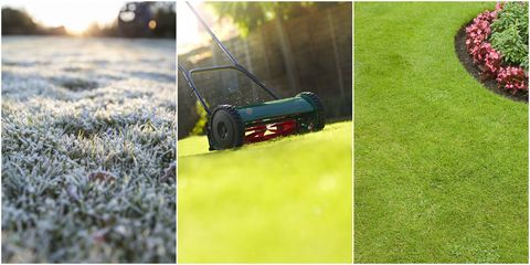 Lawn care - winter to summer