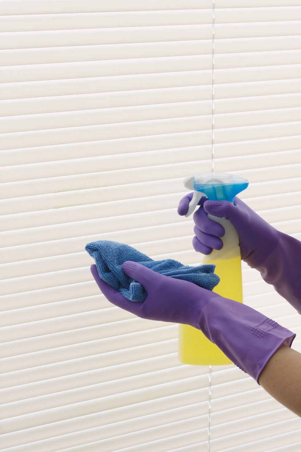 Pair of hands in purple rubber gloves cleaning blinds with spray and cloth