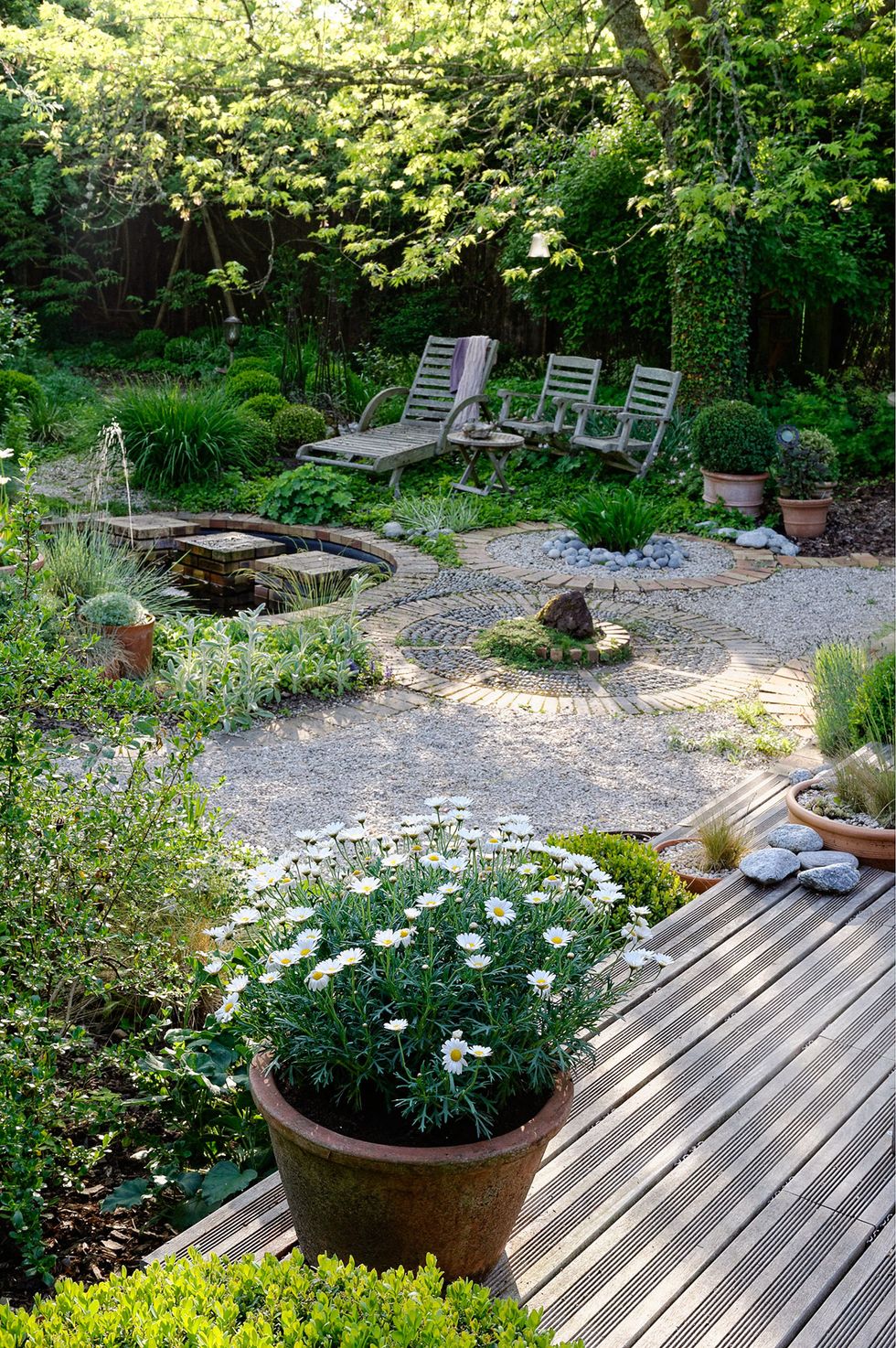 Plant, Shrub, Garden, Flowerpot, Groundcover, Backyard, Outdoor furniture, Yard, Landscaping, Annual plant, 