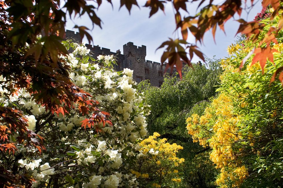 muncaster castle