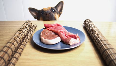 is raw food dangerous for dogs