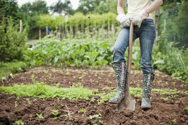 Female gardening - digging