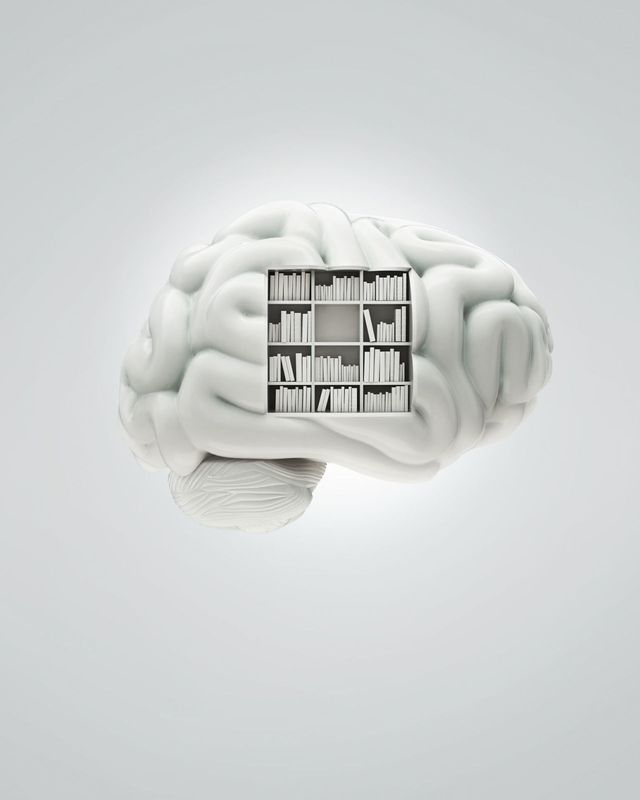 White bookcase in brain